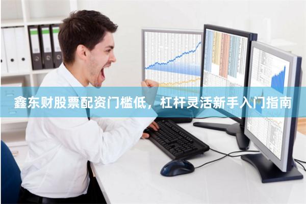 鑫东财股票配资门槛低，杠杆灵活新手入门指南